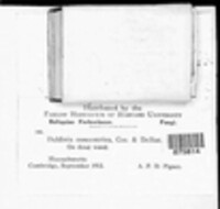 Image Associated With the Occurence